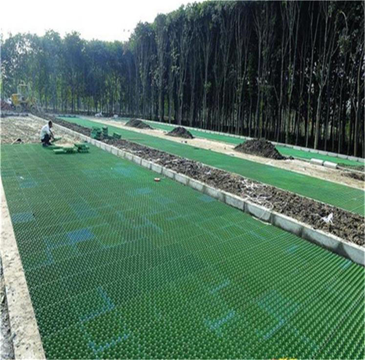 黄色大香蕉视频 (4).jpg