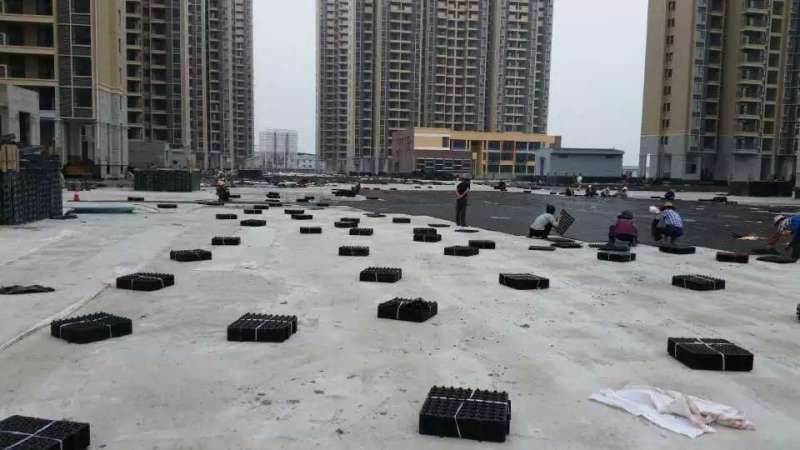 屋頂花台大香蕉福利视频哪個好?